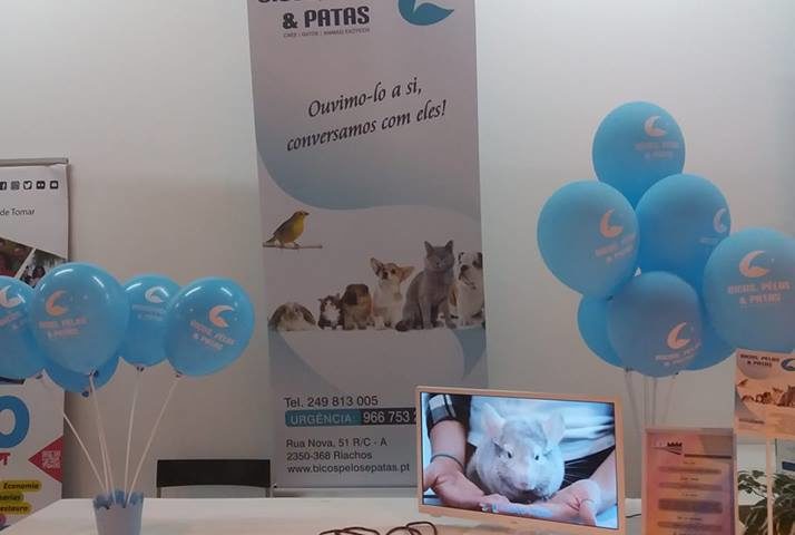 Atendimento veterinário